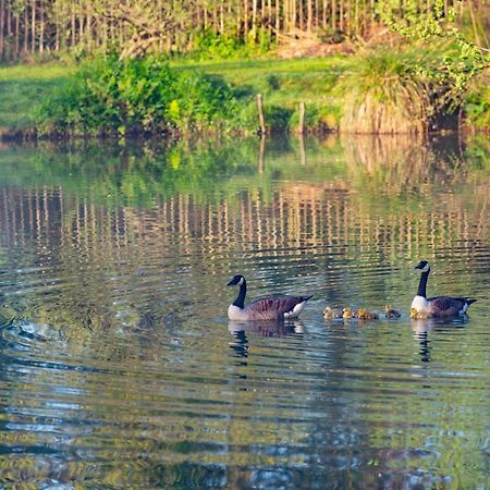 Beautiful Willow Lodge 67-4-6 Persons-Private Hot Tub-Pet Friendly-Tranquil Holiday Away From It All Yet Not Far To St Austell-The Holiday Home Has Two Bedrooms, Living & Dining Area, Equipped Kitchen -Decking-Al Fresco Dining-Fishing Lakes-Pet Frien Grampound Eksteriør billede