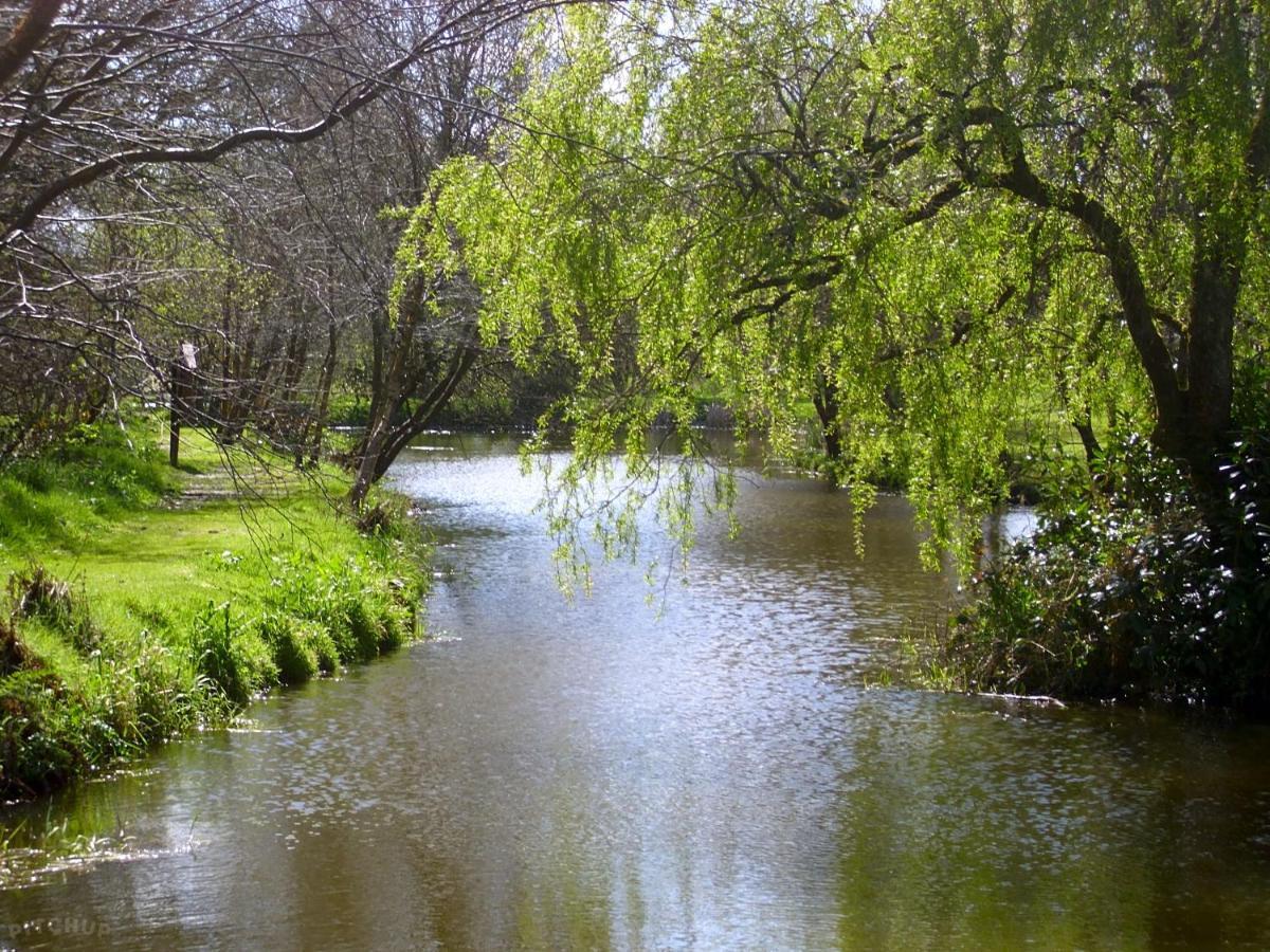 Beautiful Willow Lodge 67-4-6 Persons-Private Hot Tub-Pet Friendly-Tranquil Holiday Away From It All Yet Not Far To St Austell-The Holiday Home Has Two Bedrooms, Living & Dining Area, Equipped Kitchen -Decking-Al Fresco Dining-Fishing Lakes-Pet Frien Grampound Eksteriør billede