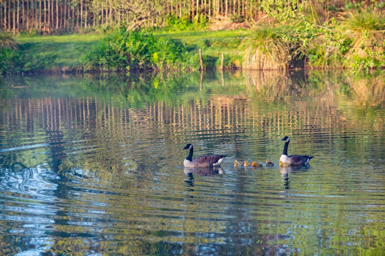 Beautiful Willow Lodge 67-4-6 Persons-Private Hot Tub-Pet Friendly-Tranquil Holiday Away From It All Yet Not Far To St Austell-The Holiday Home Has Two Bedrooms, Living & Dining Area, Equipped Kitchen -Decking-Al Fresco Dining-Fishing Lakes-Pet Frien Grampound Eksteriør billede