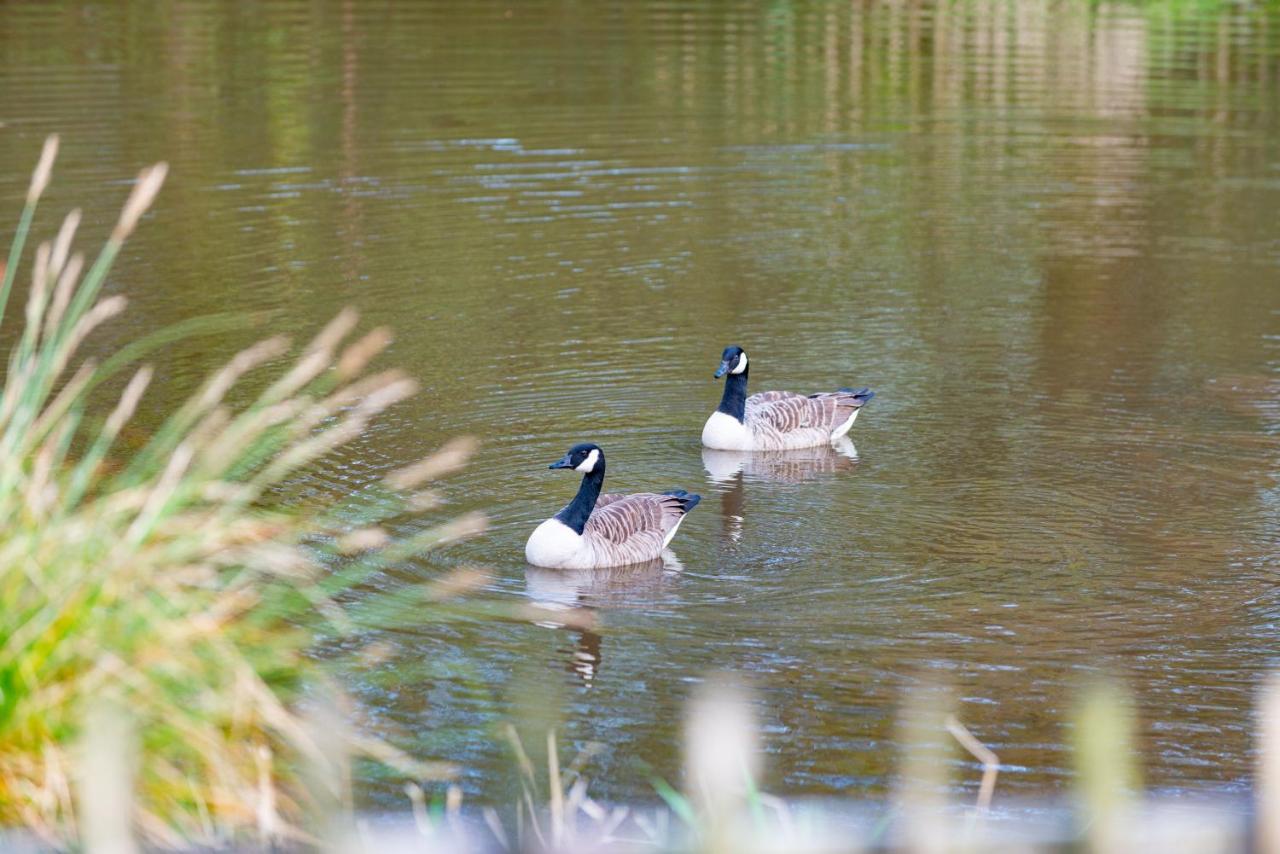 Beautiful Willow Lodge 67-4-6 Persons-Private Hot Tub-Pet Friendly-Tranquil Holiday Away From It All Yet Not Far To St Austell-The Holiday Home Has Two Bedrooms, Living & Dining Area, Equipped Kitchen -Decking-Al Fresco Dining-Fishing Lakes-Pet Frien Grampound Eksteriør billede